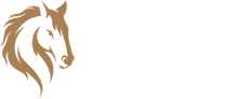 Equine Coaching